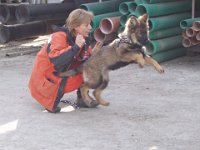 Ki-Shani : Hunde Übung 26.03.2011